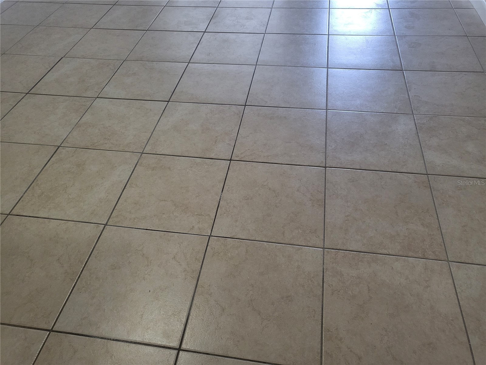 1100 E Caroline Street #115 Tavares FL 32778 OM711980 image23