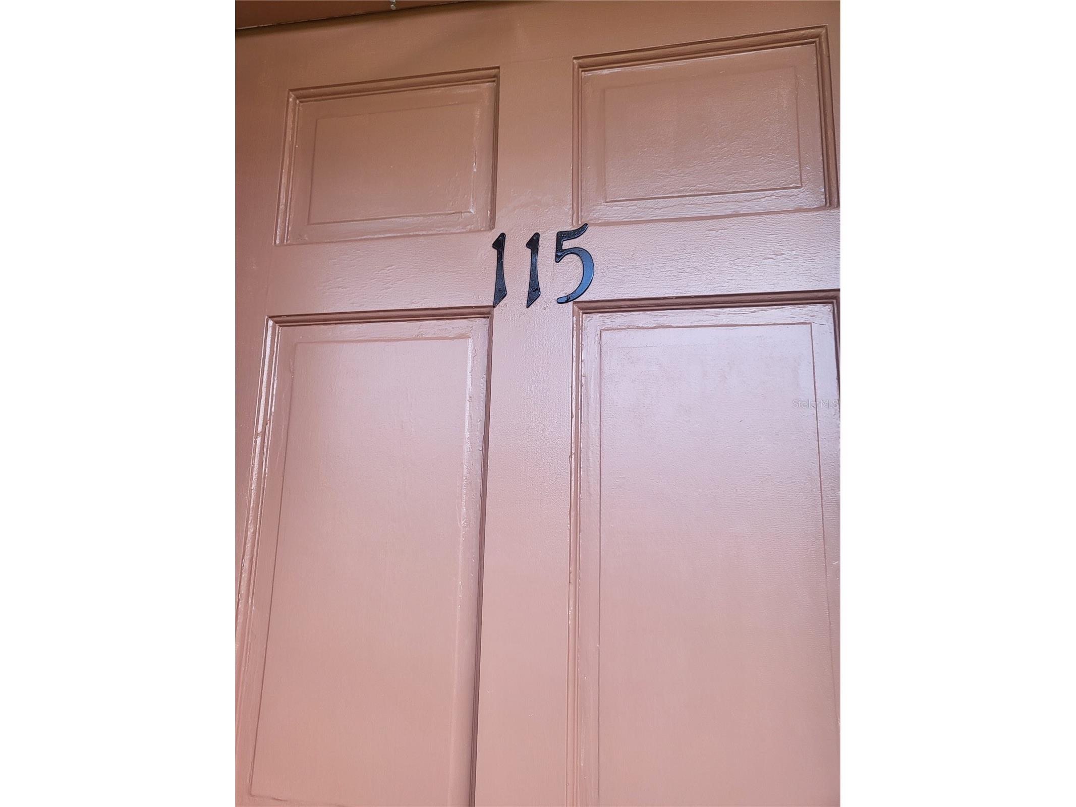 1100 E Caroline Street #115 Tavares FL 32778 OM711980 image4