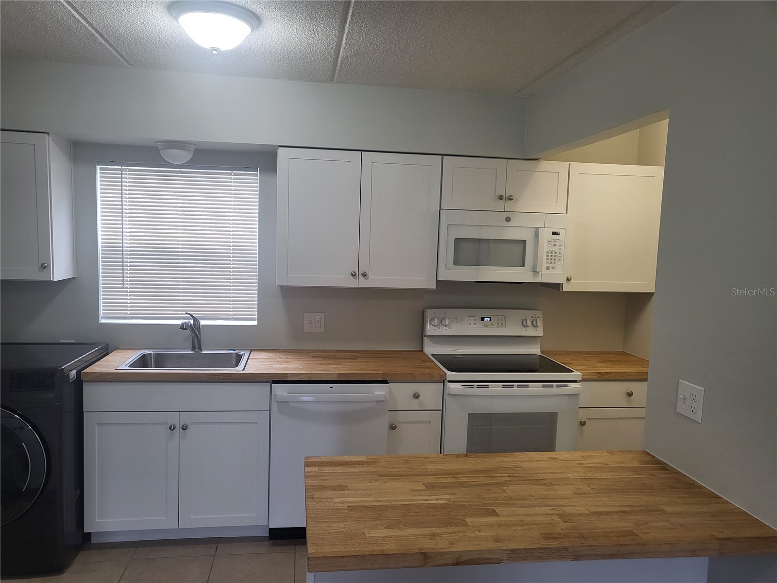1100 E Caroline Street #115 Tavares FL 32778 OM711980 image8