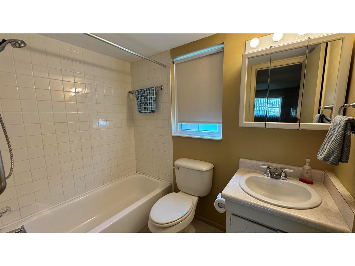 1100 E Caroline Street #123 Tavares FL 32778 G5102652 image20