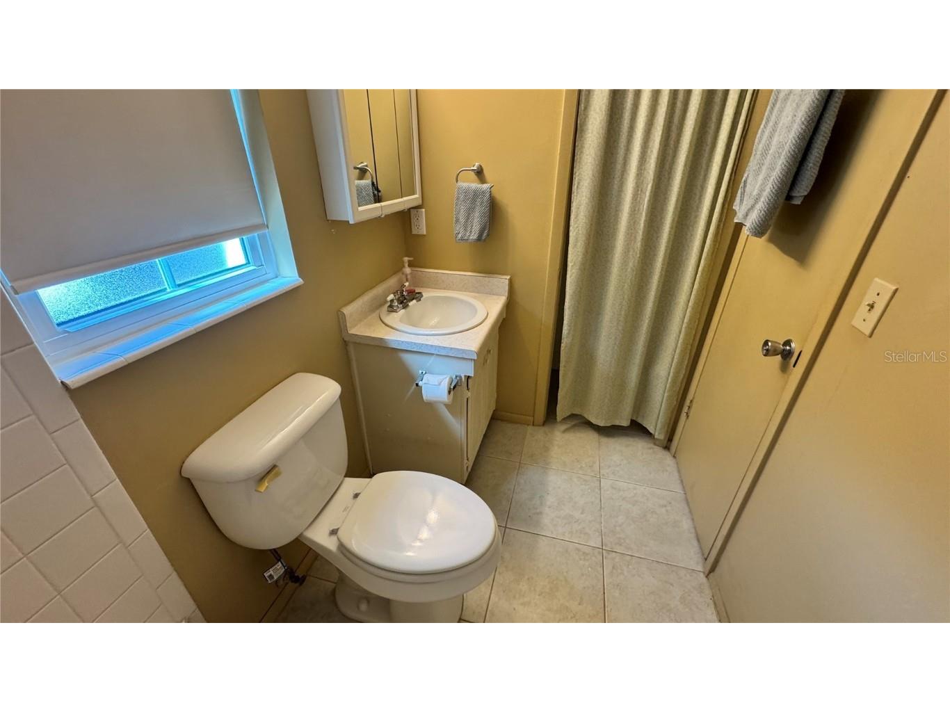 1100 E Caroline Street #123 Tavares FL 32778 G5102652 image21