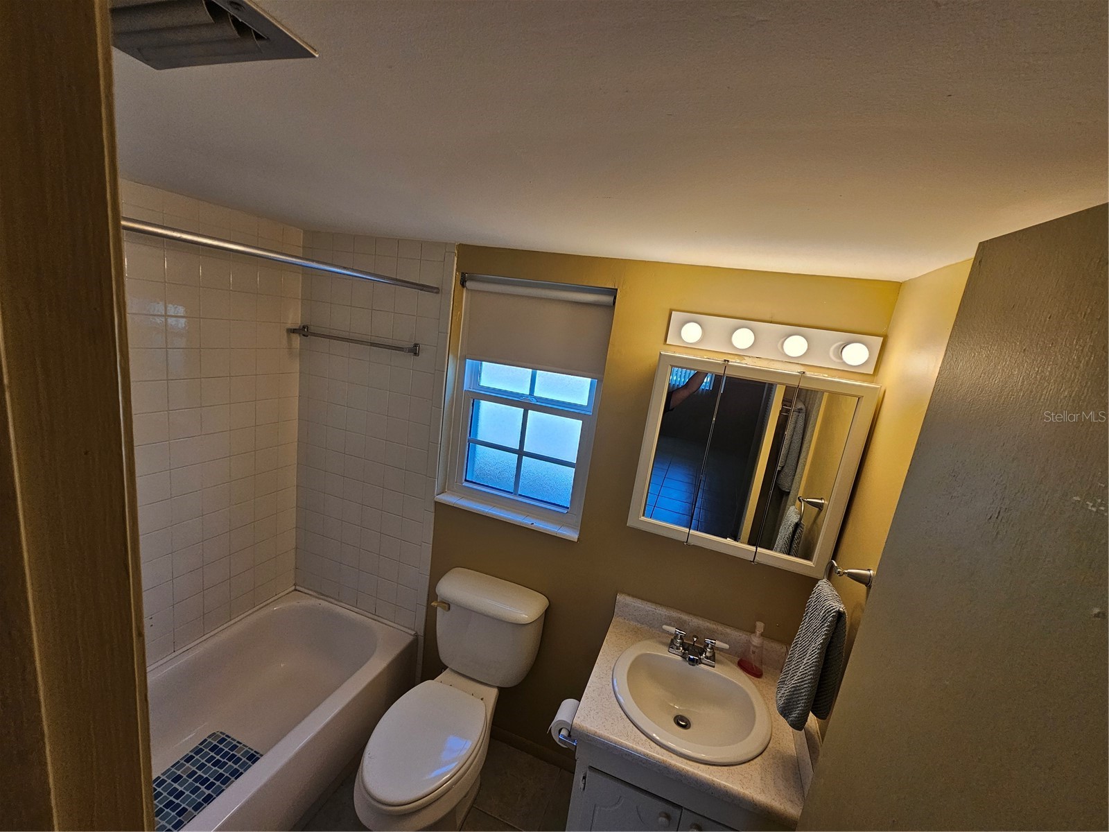 1100 E Caroline Street #123 Tavares FL 32778 OM724777 image12