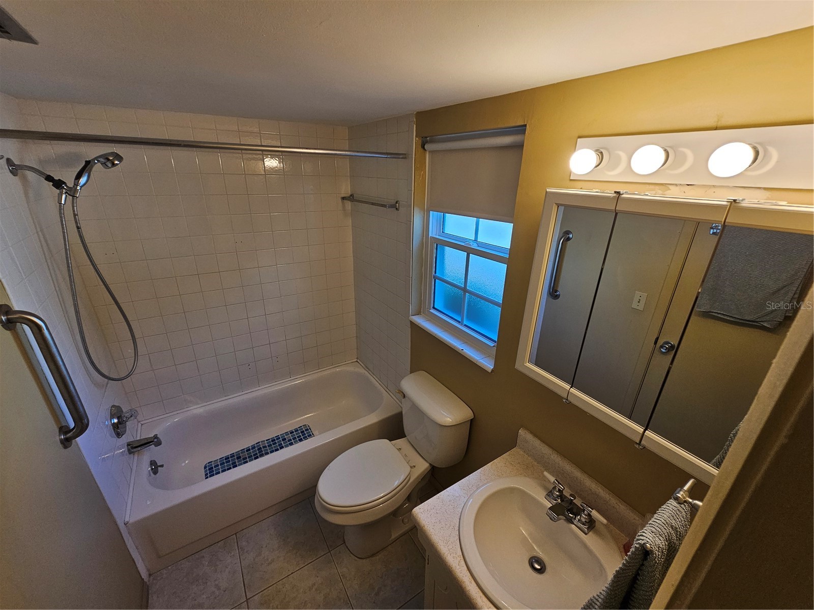 1100 E Caroline Street #123 Tavares FL 32778 OM724777 image13