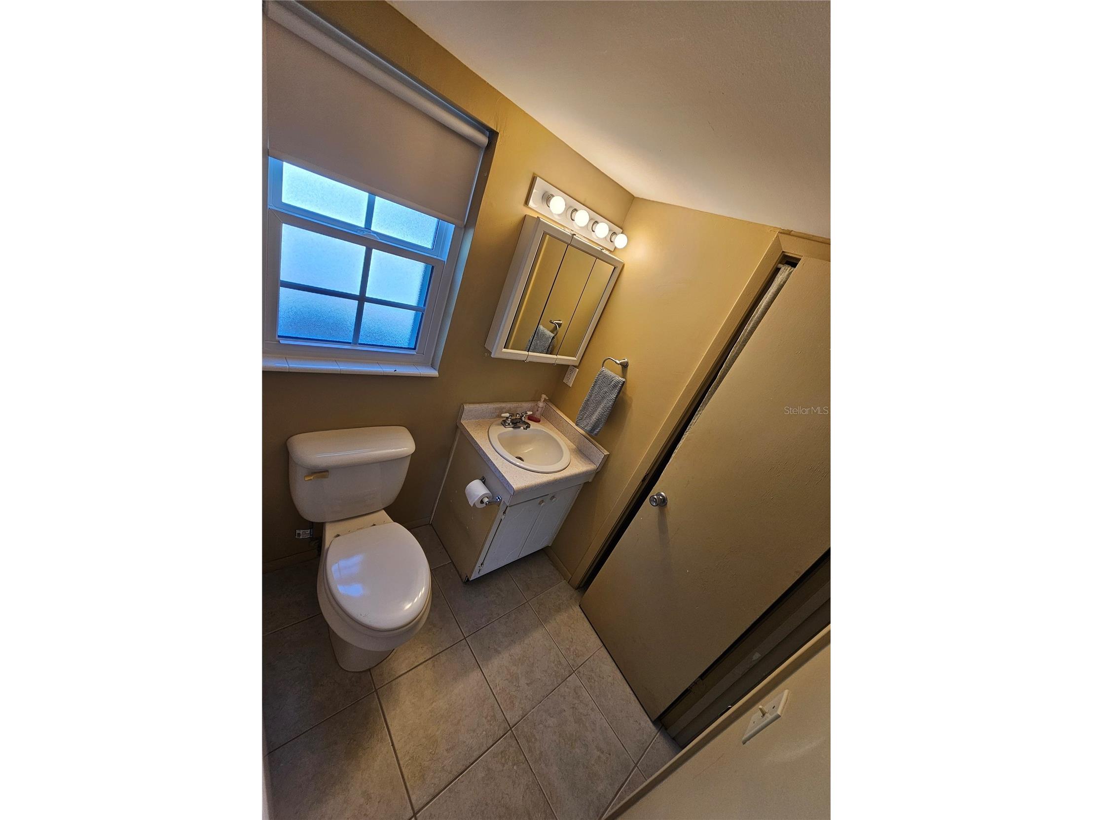 1100 E Caroline Street #123 Tavares FL 32778 OM724777 image15