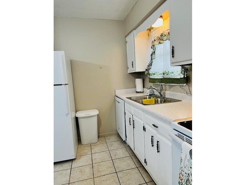 1100 E Caroline Street #203 Tavares FL 32778 O6342851 image11