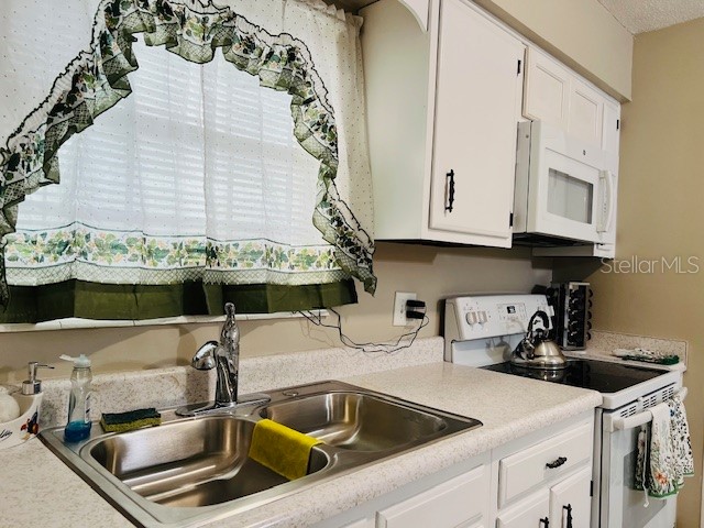 1100 E Caroline Street #203 Tavares FL 32778 O6342851 image12