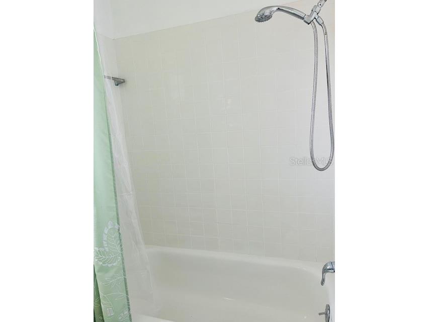 1100 E Caroline Street #203 Tavares FL 32778 O6342851 image22