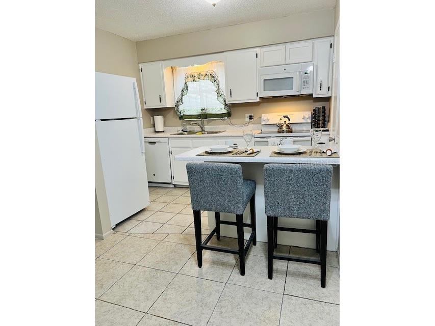 1100 E Caroline Street #203 Tavares FL 32778 O6342851 image8