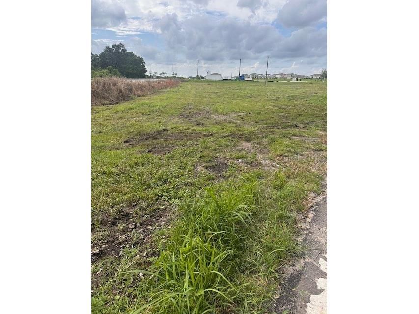 1100 Eloise Loop Road Winter Haven FL 33884 P4935000 image3