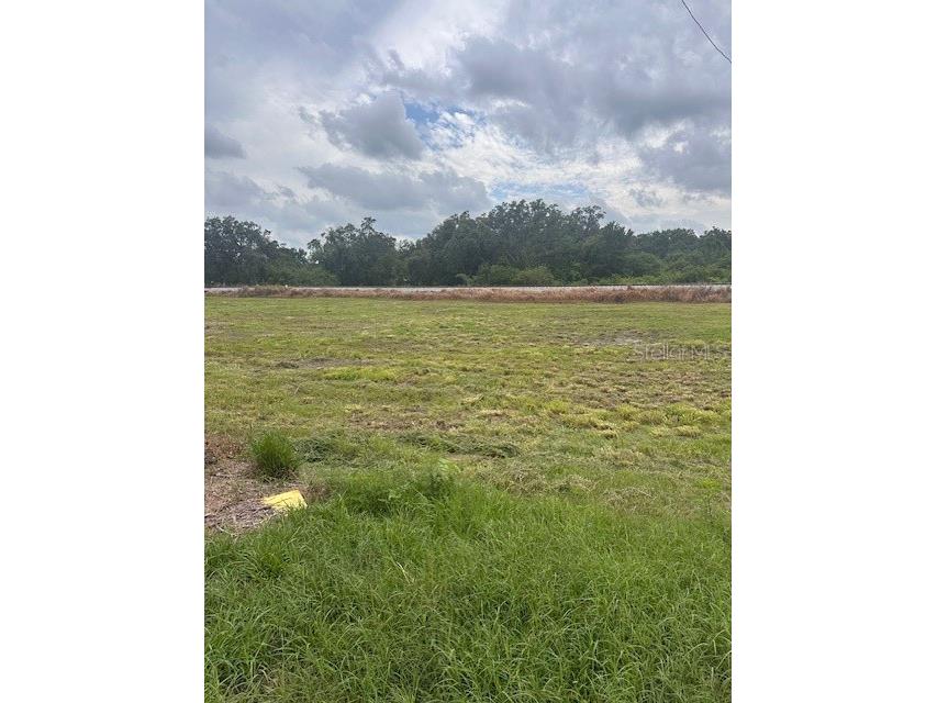 1100 Eloise Loop Road Winter Haven FL 33884 P4935000 image7