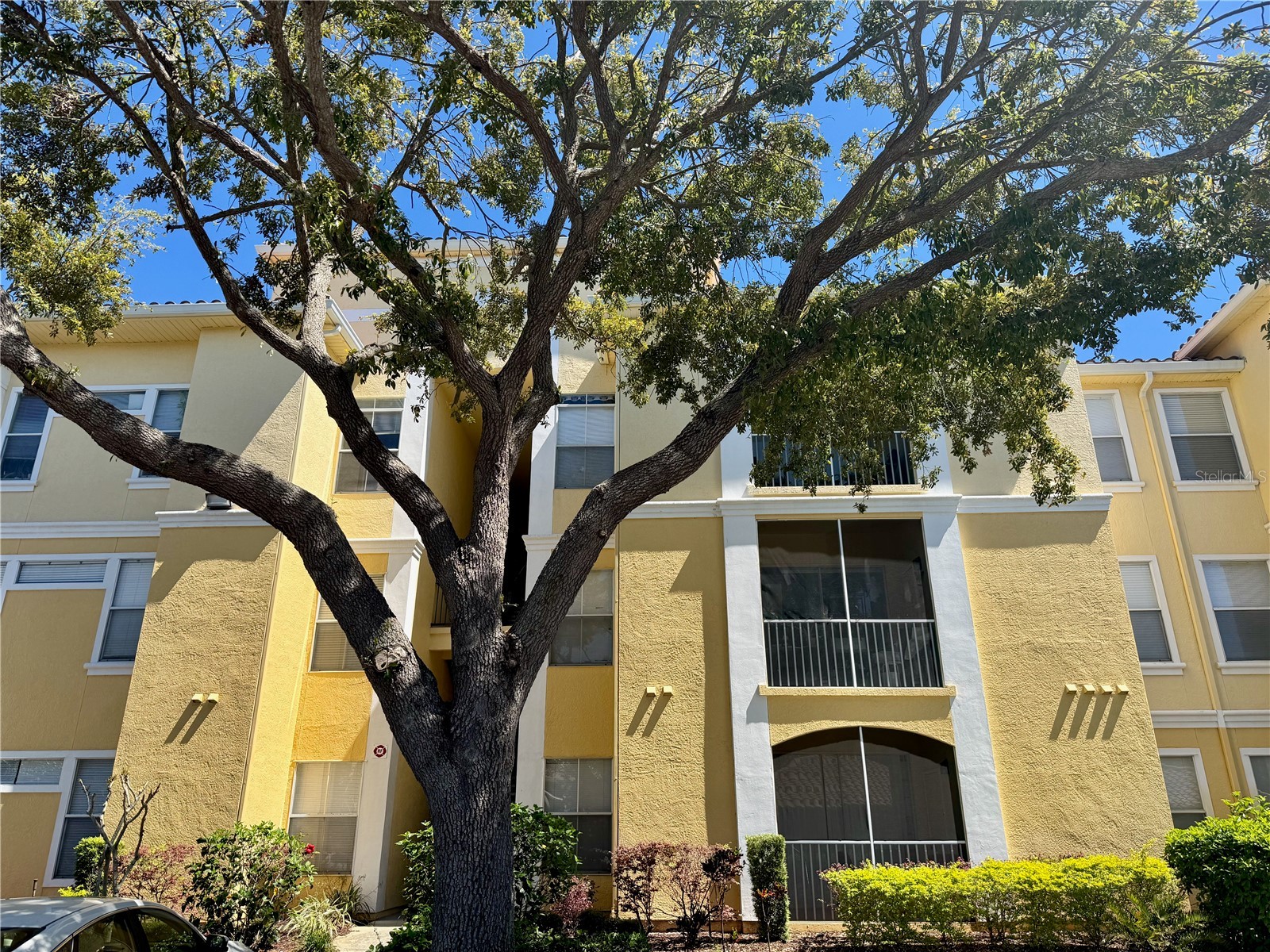 1100 Lake Shadow Circle #2302 Maitland FL 32751 O6405519 image3