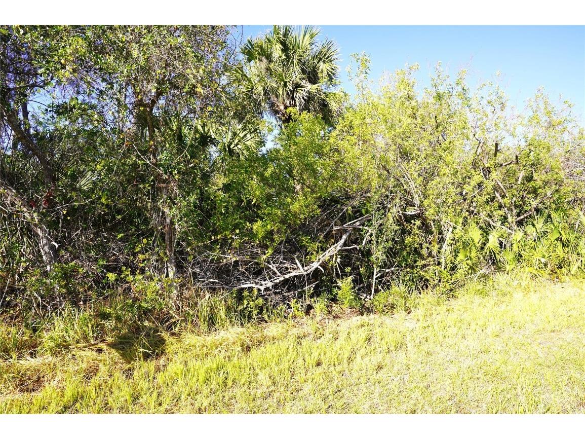 1100 March Drive Port Charlotte FL 33953 C7504896 image3