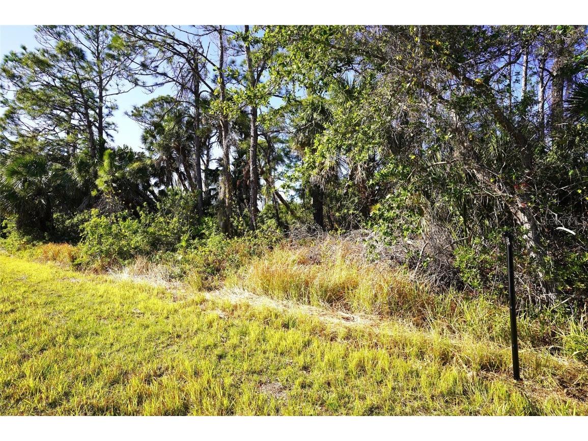 1100 March Drive Port Charlotte FL 33953 C7504896 image4