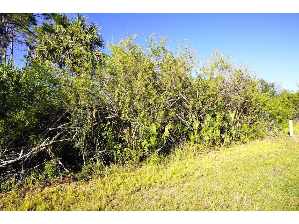 1100 March Drive Port Charlotte FL 33953 C7504896 image5