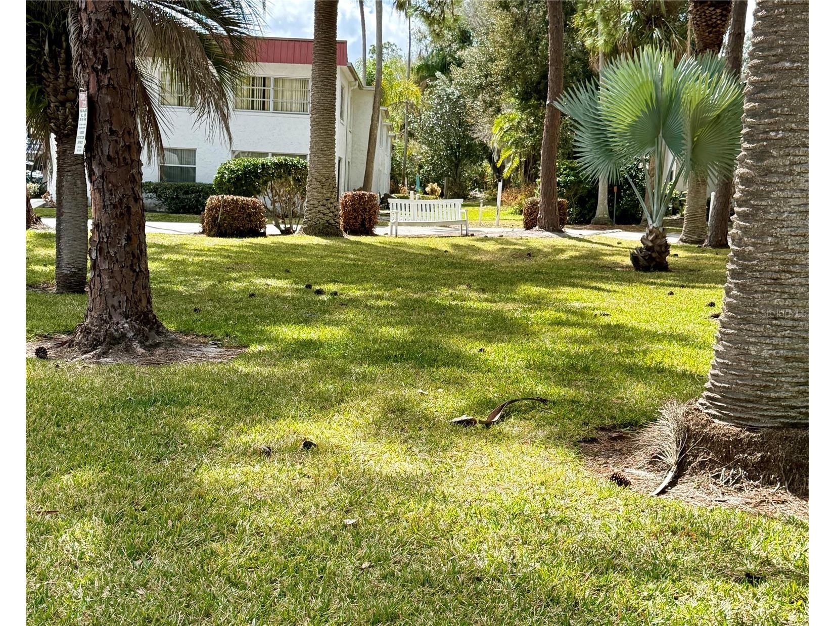 1100 Martinique Drive #105 Winter Haven FL 33884 G5113424 image22