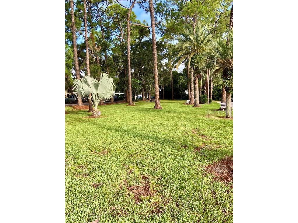 1100 Martinique Drive #208 Winter Haven FL 33884 P4931920 image24