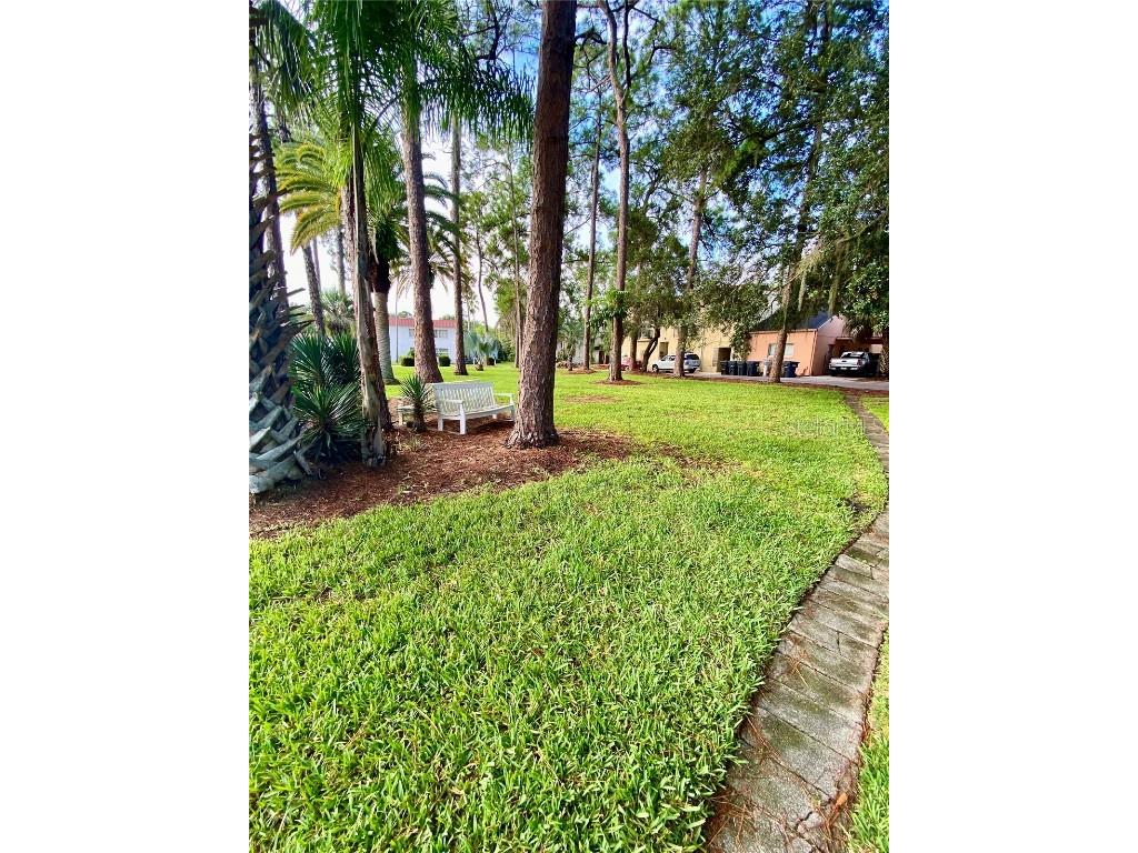 1100 Martinique Drive #208 Winter Haven FL 33884 P4931920 image25