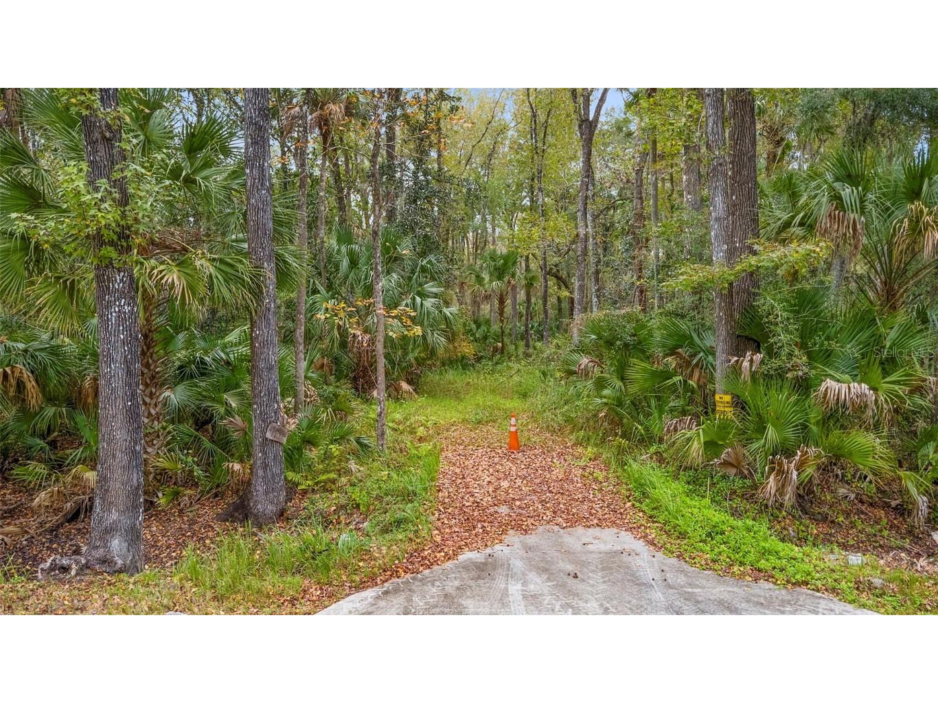 1100 Maytown Road Oak Hill FL 32759 V4946115 image1