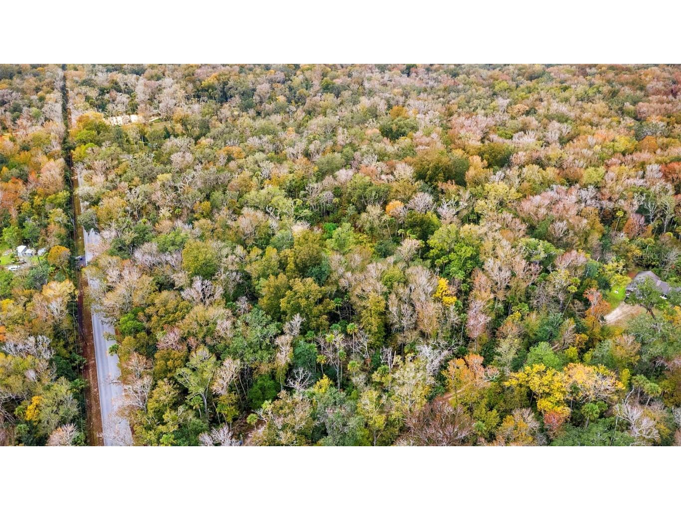 1100 Maytown Road Oak Hill FL 32759 V4946115 image10