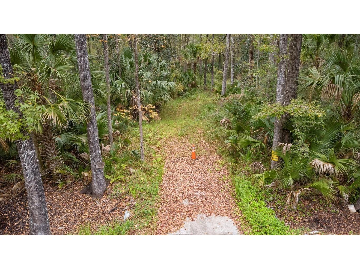 1100 Maytown Road Oak Hill FL 32759 V4946115 image4