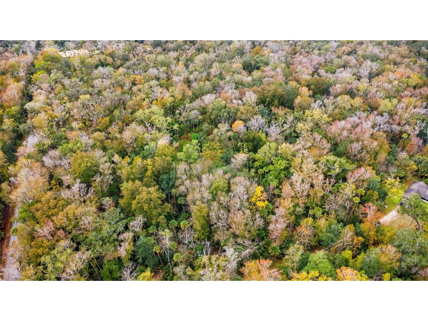 1100 Maytown Road Oak Hill FL 32759 V4946115 image6