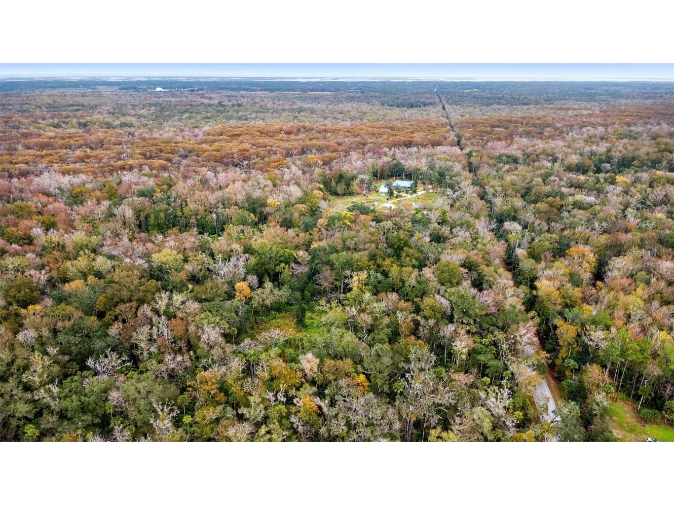 1100 Maytown Road Oak Hill FL 32759 V4946115 image8