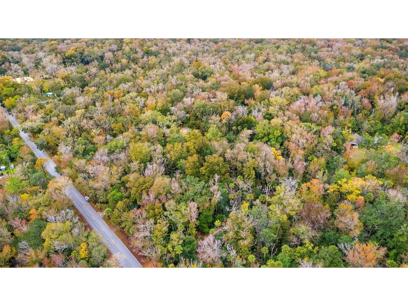 1100 Maytown Road Oak Hill FL 32759 V4946115 image9