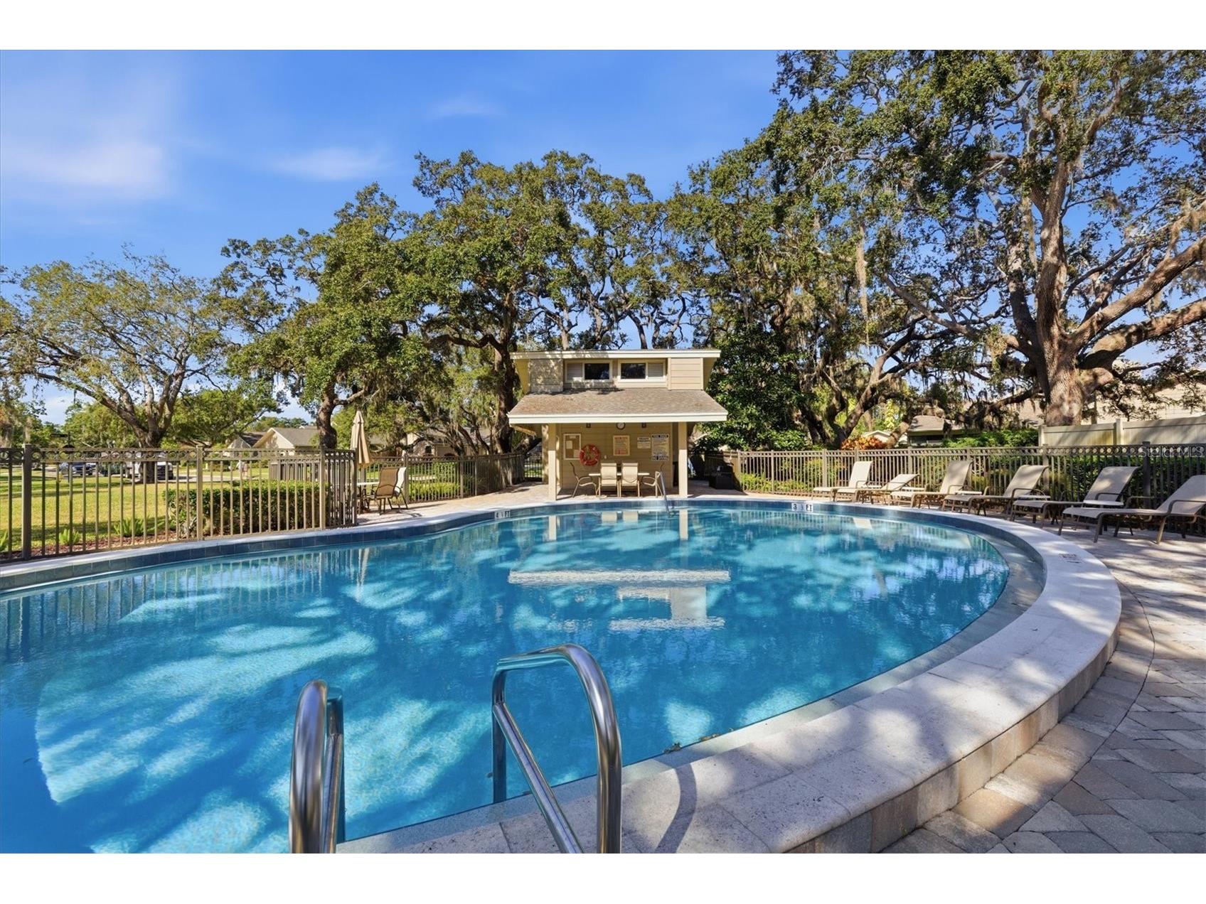 1100 Muirfield Court Tarpon Springs FL 34688 TB8450373 image46