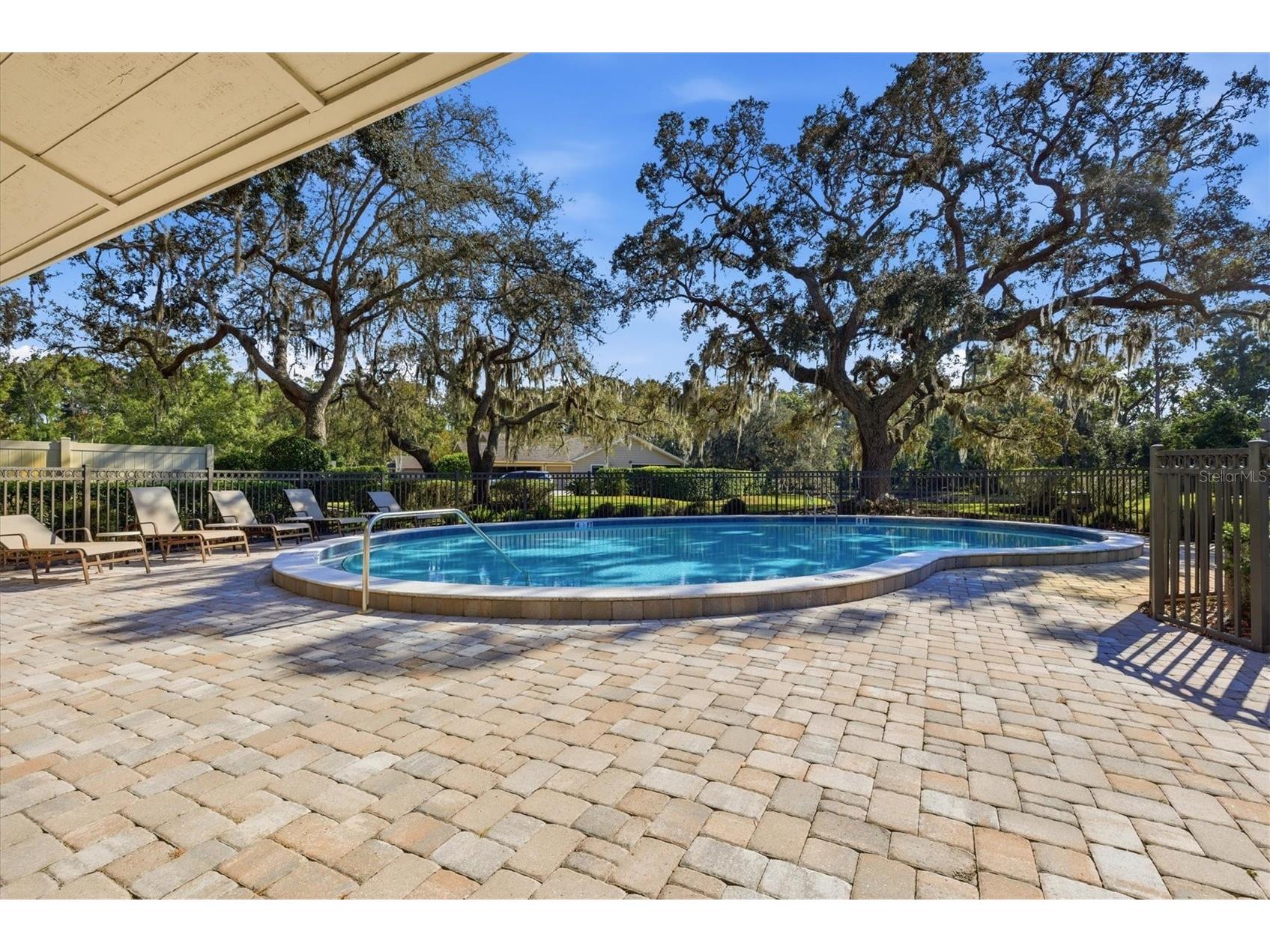 1100 Muirfield Court Tarpon Springs FL 34688 TB8450373 image47