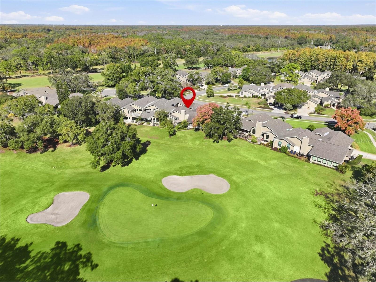 1100 Muirfield Court Tarpon Springs FL 34688 TB8450373 image5