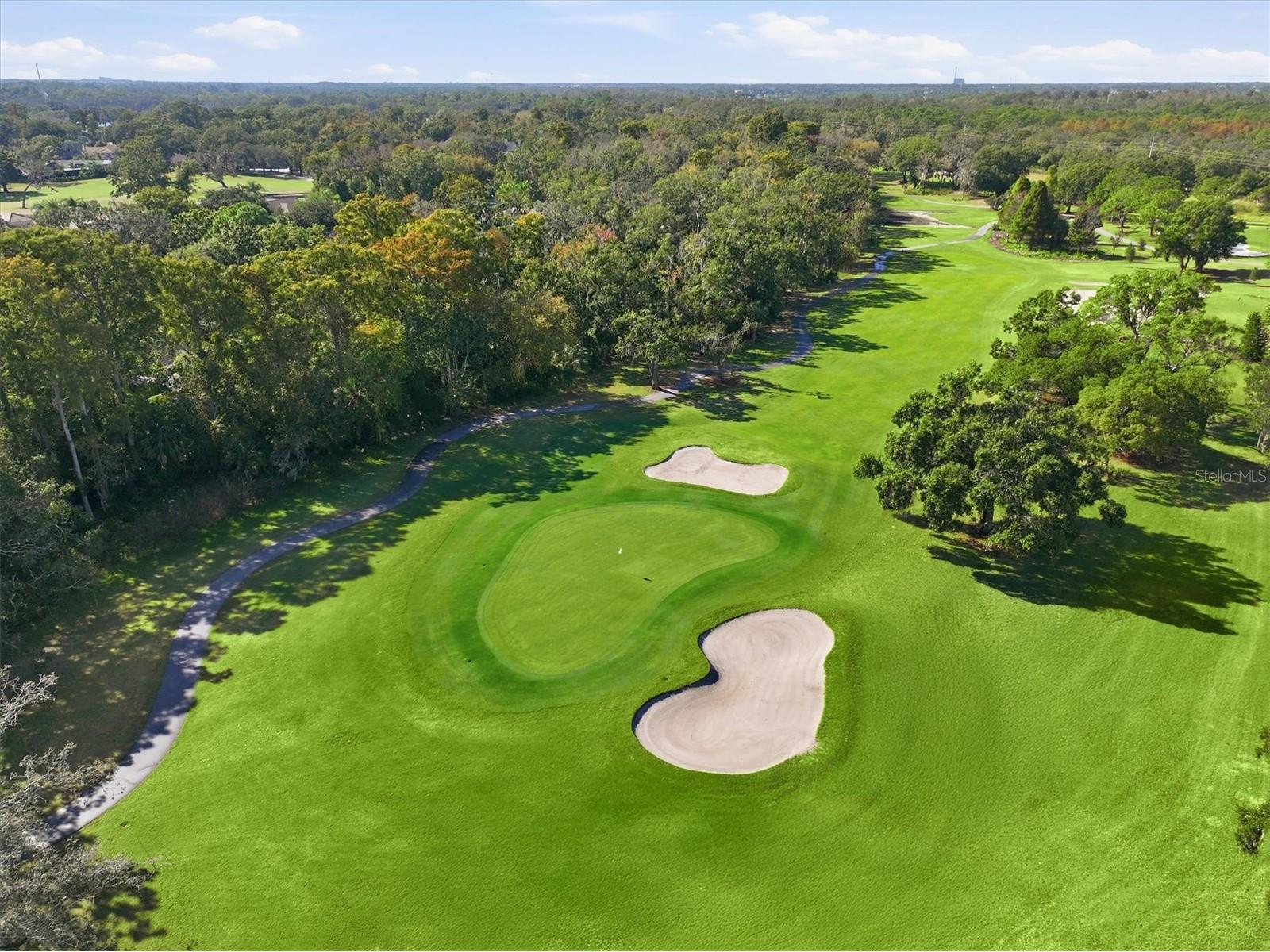 1100 Muirfield Court Tarpon Springs FL 34688 TB8450373 image56