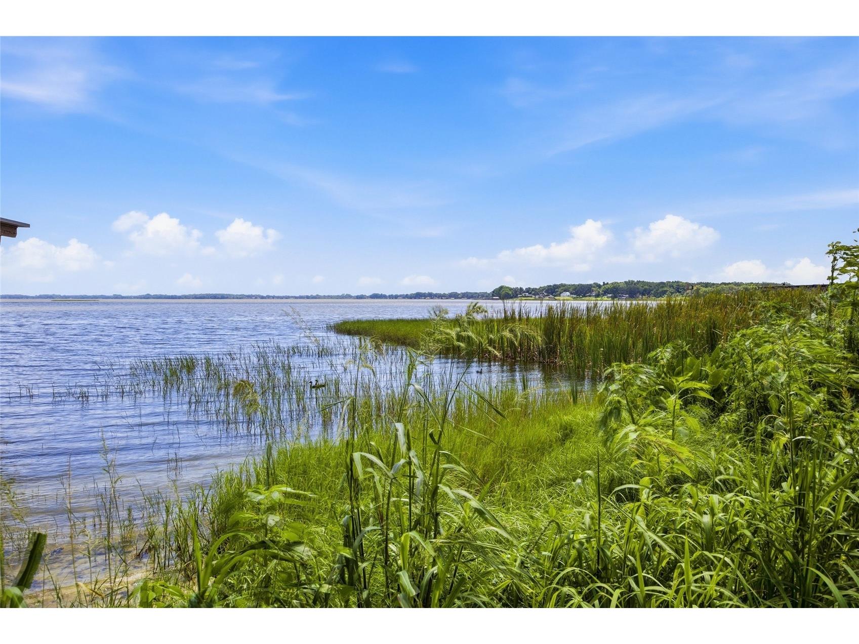 1100 N Palmetto Street Leesburg FL 34748 - LAKE GRIFFIN TB8509243 image47