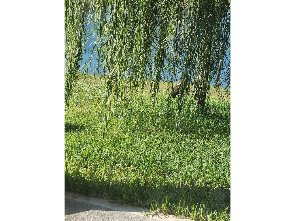 1100 Newton Circle Rockledge FL 32955 W7880994 image22