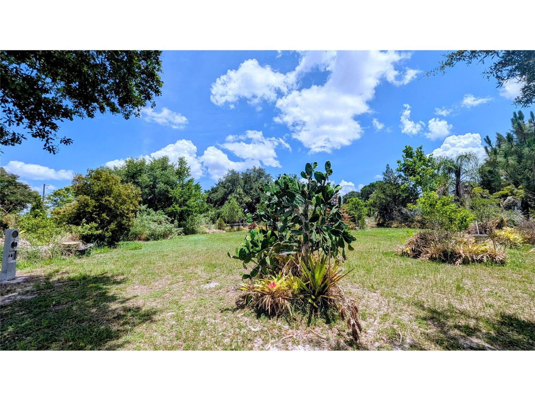 1100 Peninsular Drive Lake Wales FL 33853 - LAKE BELLE P4938728 image16