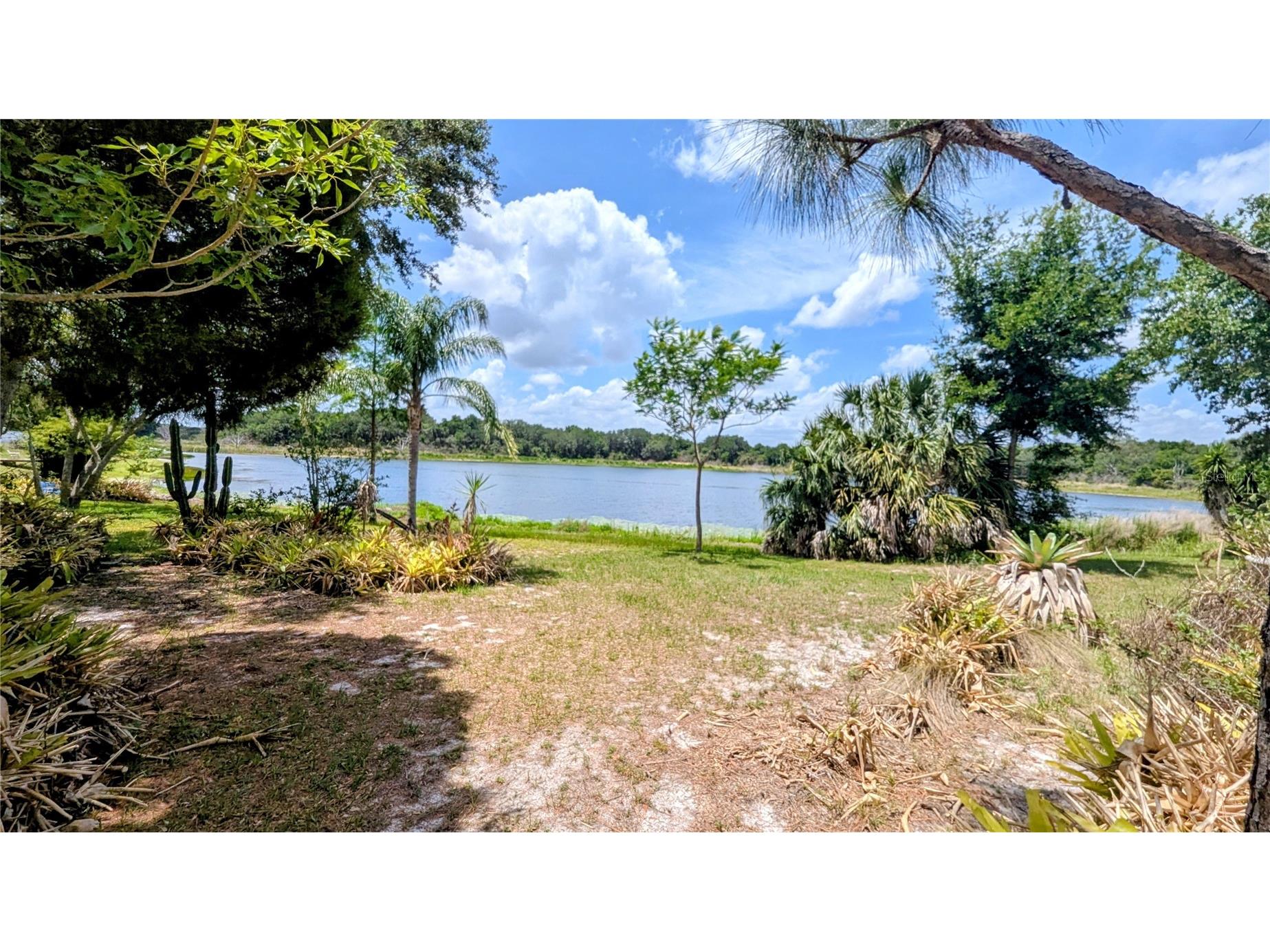 1100 Peninsular Drive Lake Wales FL 33853 - LAKE BELLE P4938728 image17