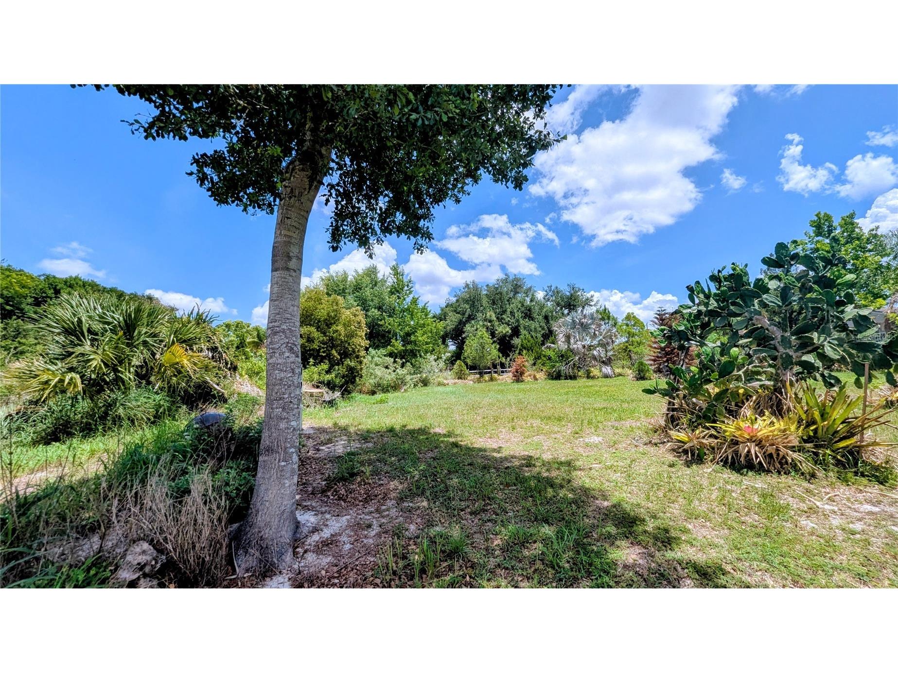1100 Peninsular Drive Lake Wales FL 33853 - LAKE BELLE P4938728 image19