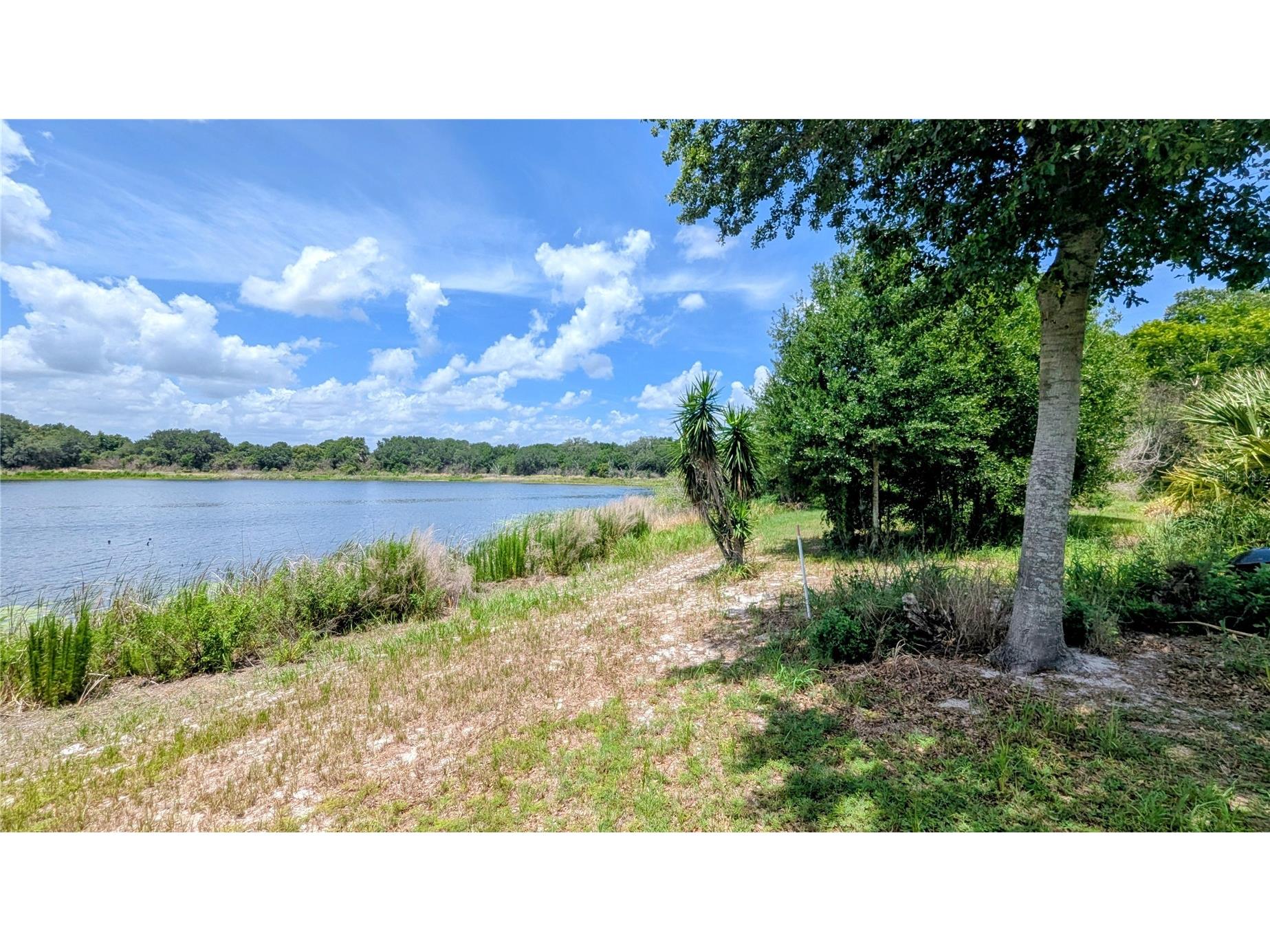 1100 Peninsular Drive Lake Wales FL 33853 - LAKE BELLE P4938728 image3