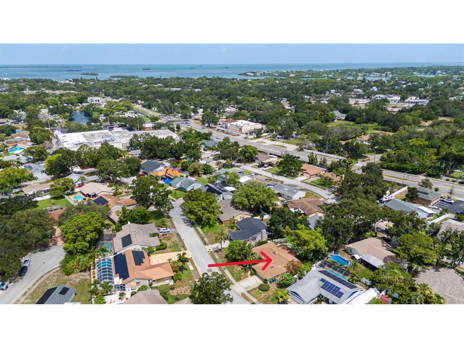 1100 Persimmon Drive Palm Harbor FL 34683 TB8523875 image10
