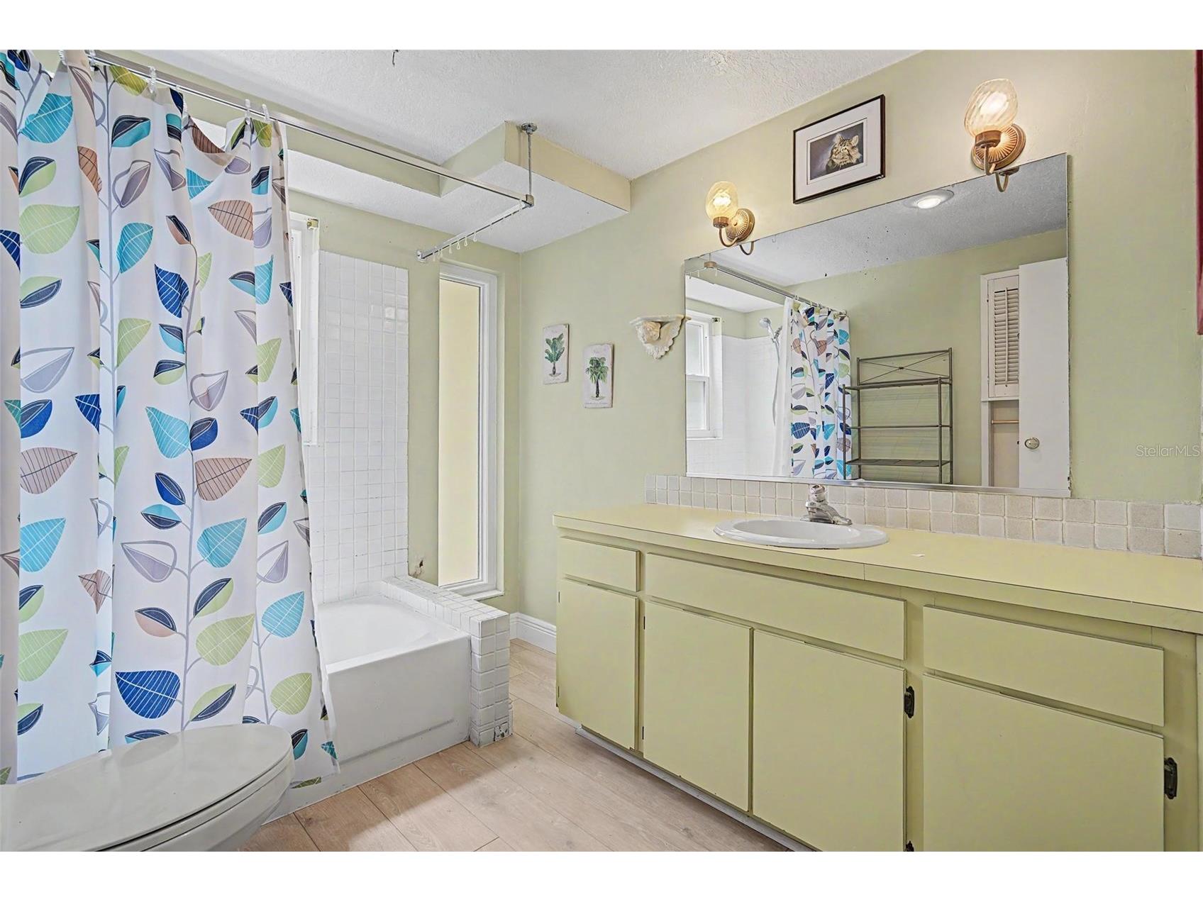 1100 Persimmon Drive Palm Harbor FL 34683 TB8523875 image25