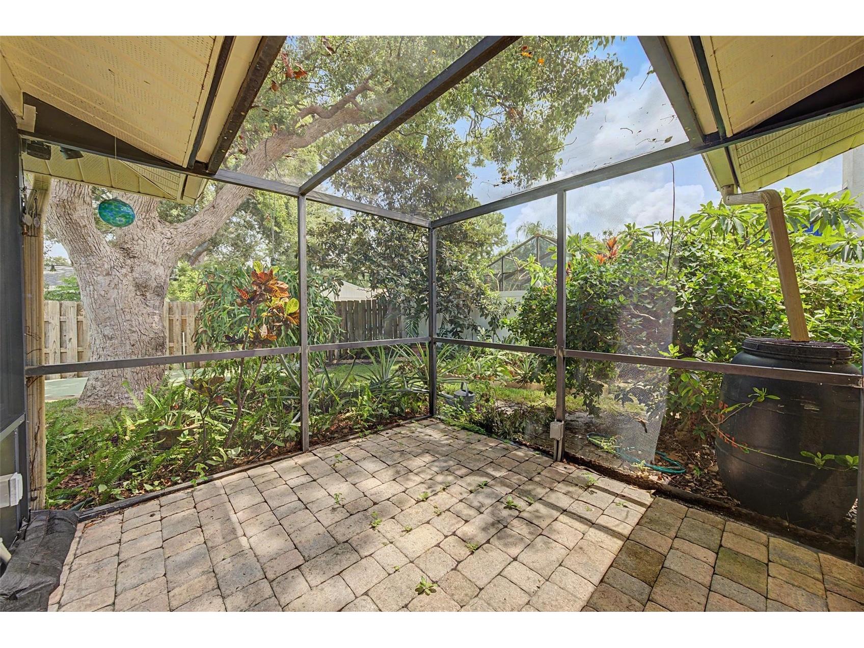 1100 Persimmon Drive Palm Harbor FL 34683 TB8523875 image28