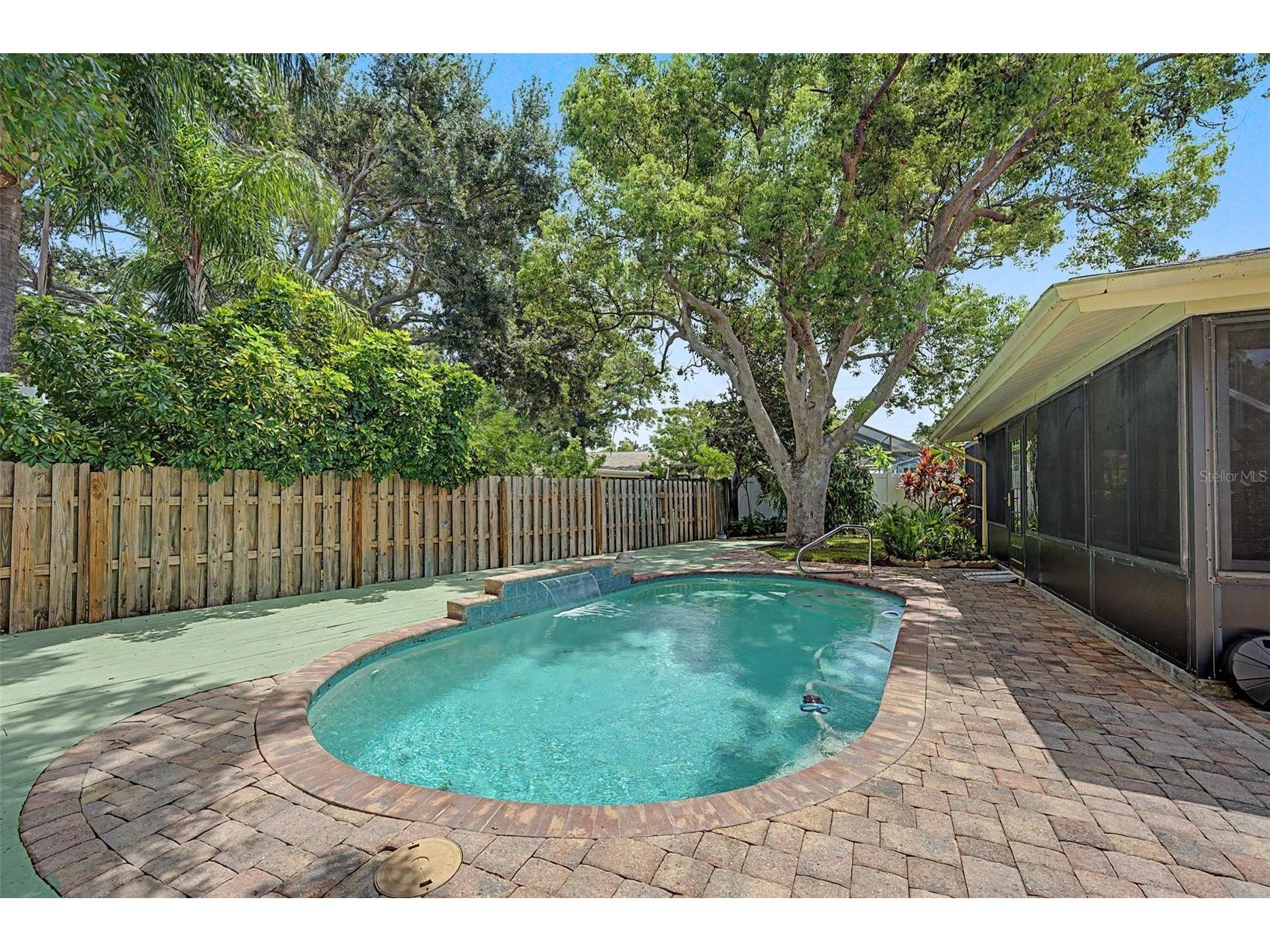 1100 Persimmon Drive Palm Harbor FL 34683 TB8523875 image29
