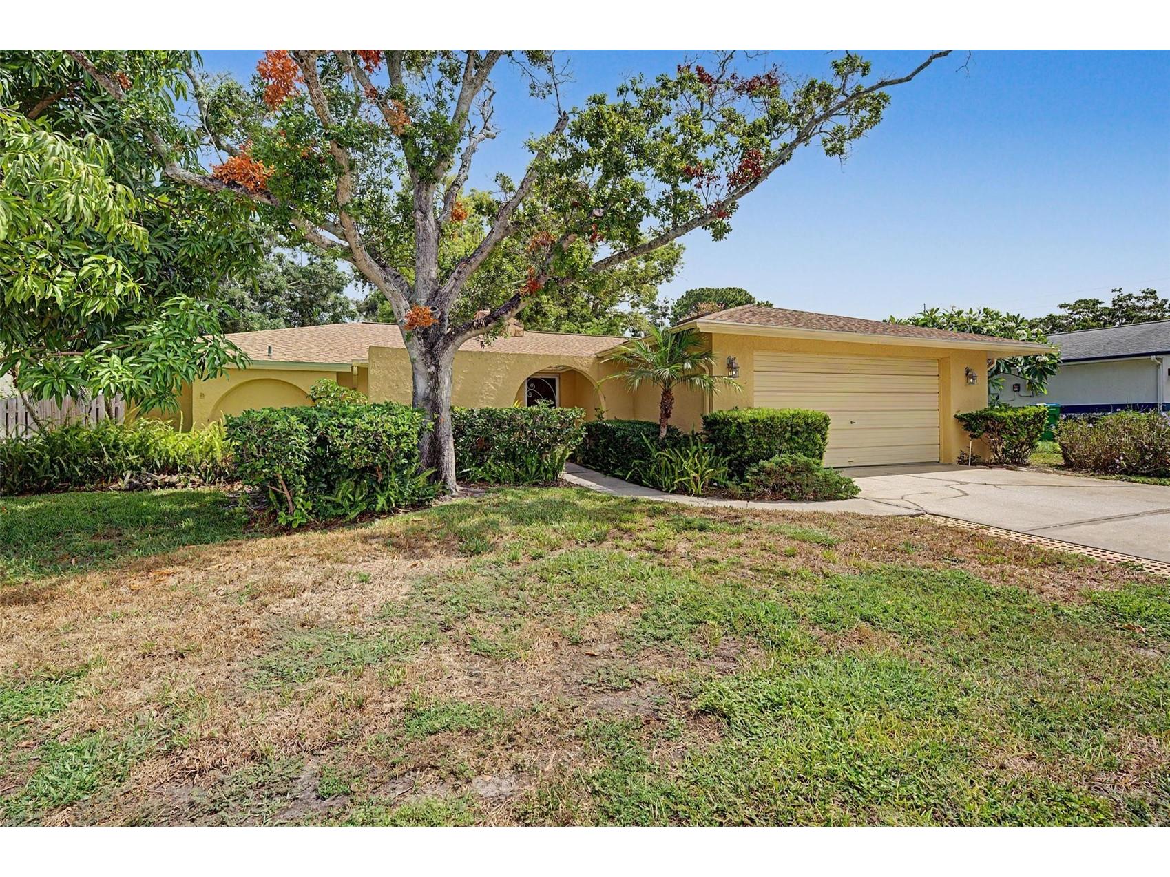 1100 Persimmon Drive Palm Harbor FL 34683 TB8523875 image34