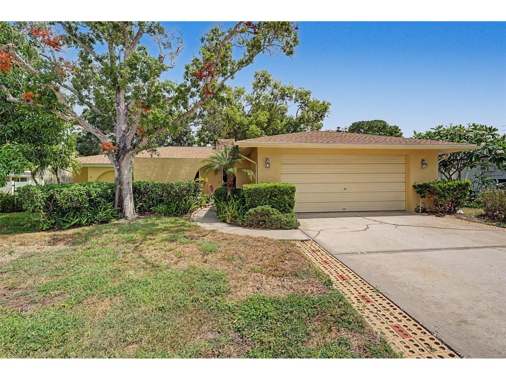 1100 Persimmon Drive Palm Harbor FL 34683 TB8523875 image35