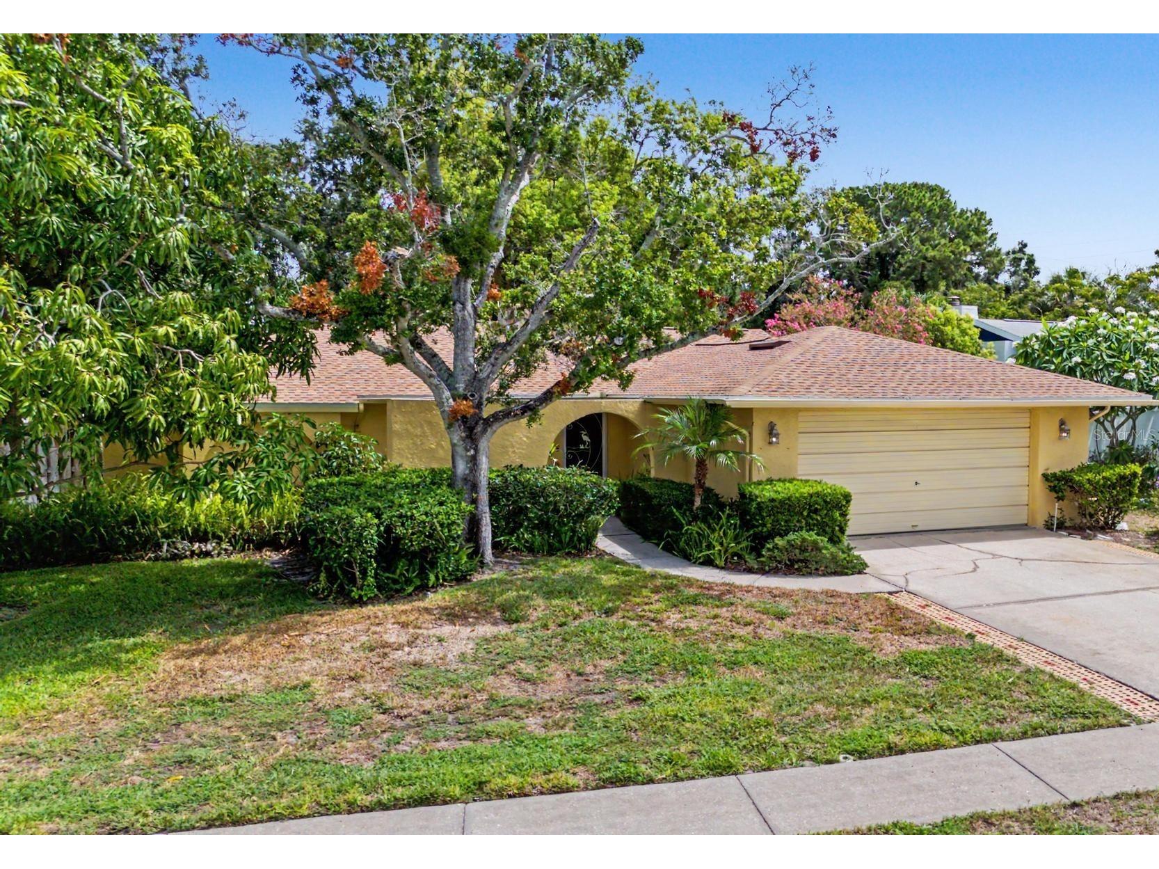 1100 Persimmon Drive Palm Harbor FL 34683 TB8523875 image36