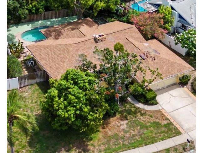 1100 Persimmon Drive Palm Harbor FL 34683 TB8523875 image9