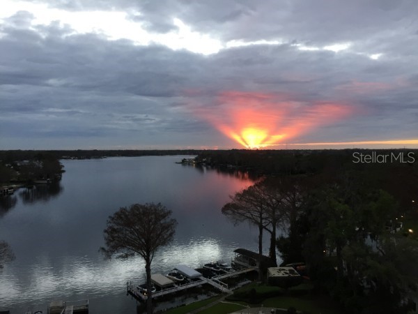 1100 S Orlando Avenue #956 Maitland FL 32751 - LAKE MAITLAND O6367405 image41