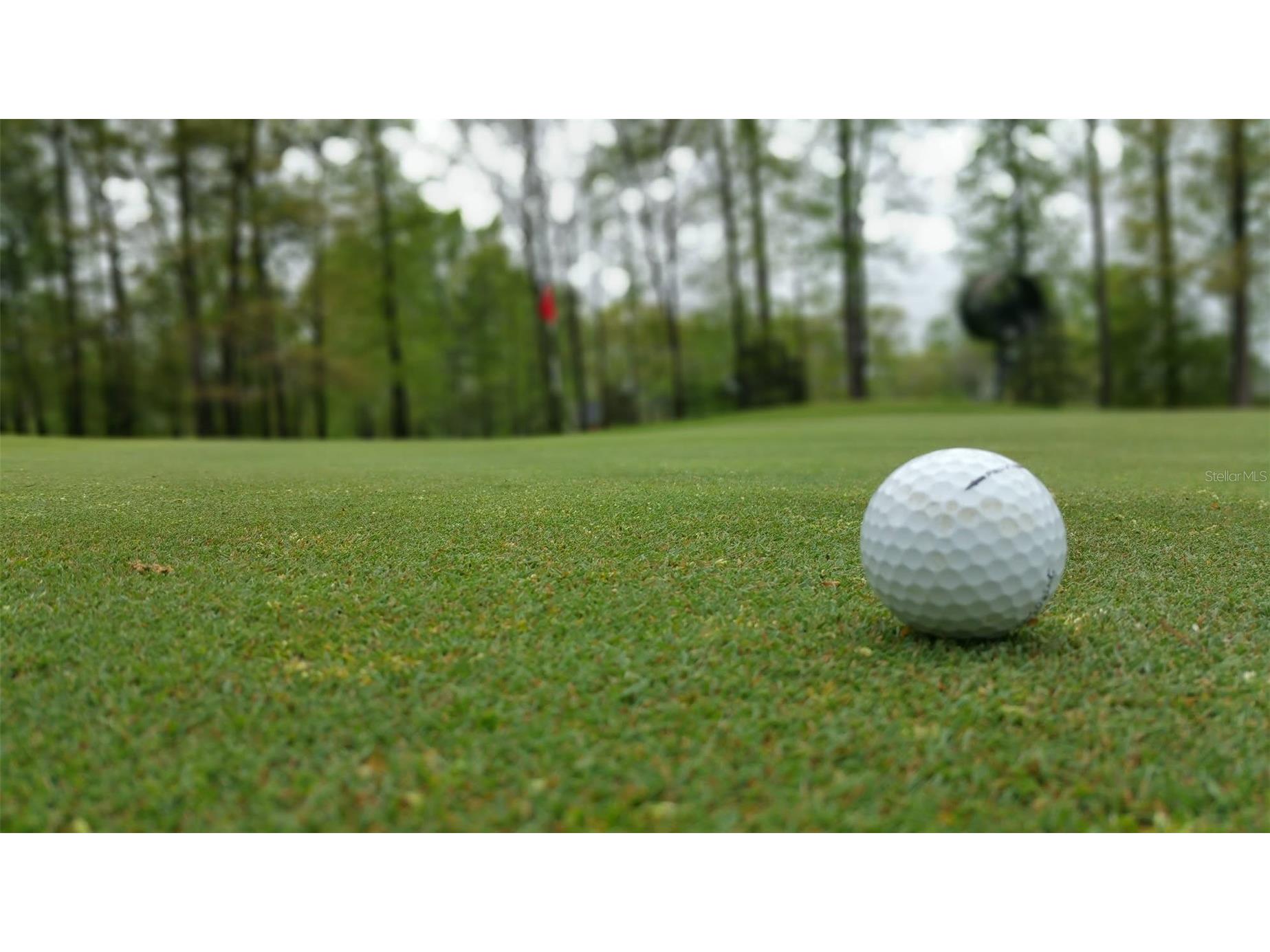 1100 Sand Trap Court Daytona Beach FL 32124 O6415858 image35