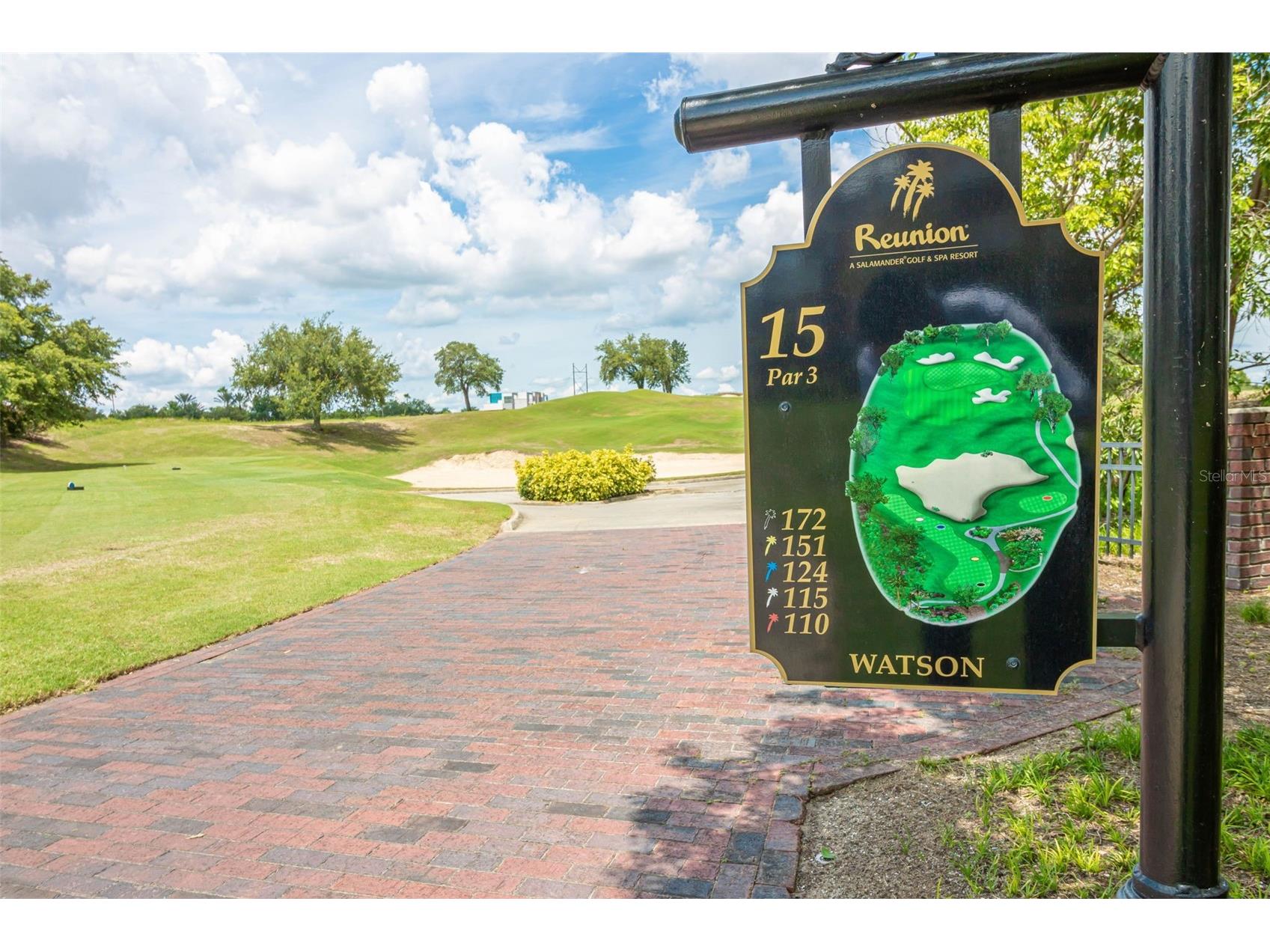 1100 Sunset View Circle #302 Reunion FL 34747 S5140232 image33