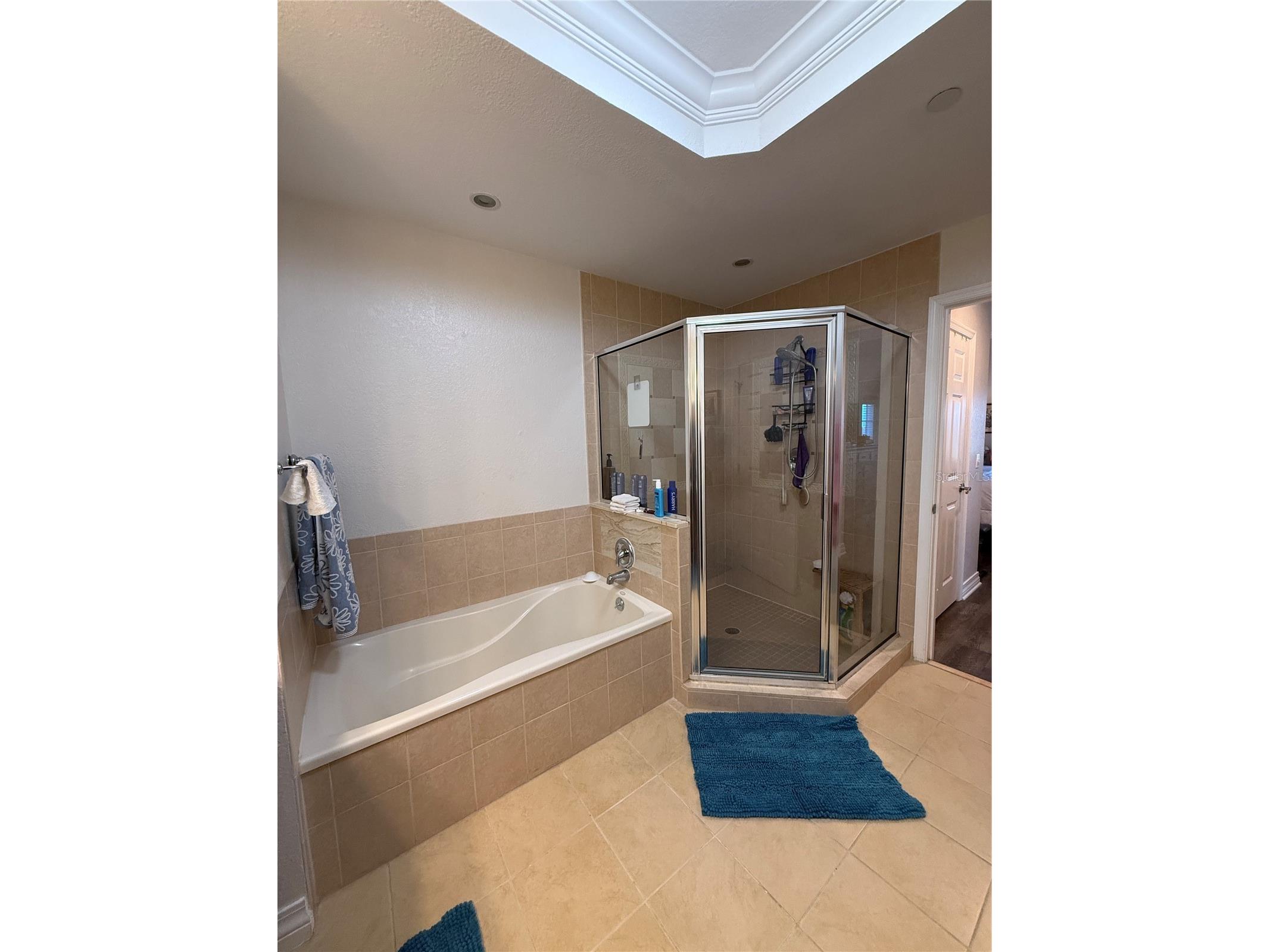 1100 Sunset View Circle S #304 Kissimmee FL 34747 S5147824 image22