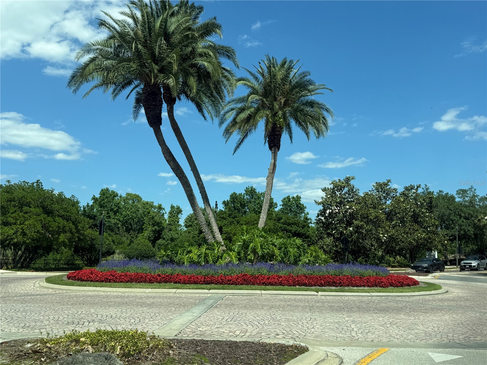 1100 Sunset View Circle S #304 Kissimmee FL 34747 S5147824 image37